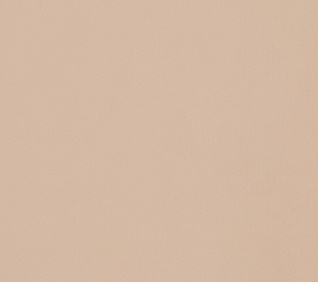 Велюр EVITA CARAMEL 