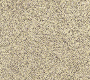 Велюр MORELLO IVORY (LE) 