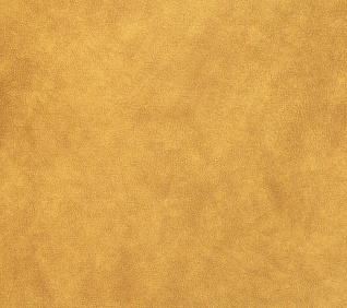 Велюр GERMES UMBER 