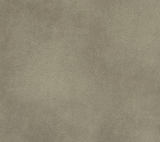 Велюр ERIS BEIGE 