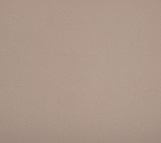 Замша AURORA SAND (LE) 