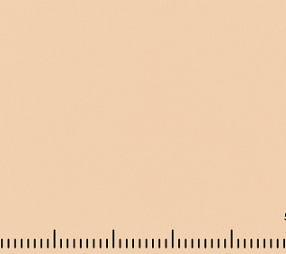 Велюр МУСТАНГ \ MUSTANG WHEAT (LE) 